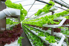Advancements in Technology Lead the Vertical Farming Sector toward Prosperity