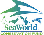 SeaWorld Conservation Fund Celebrates 20 Years of Marine Animal Conservation; Makes 22 New Grants in 2022