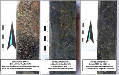 Figure 1: Core photos from Central Sector – Course-grained orthopyroxenites with magmatic nickel ± copper sulphide mineralization. (CNW Group/Bravo Mining Corp.)