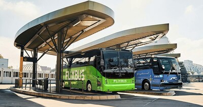 Greyhound and FlixBus buses