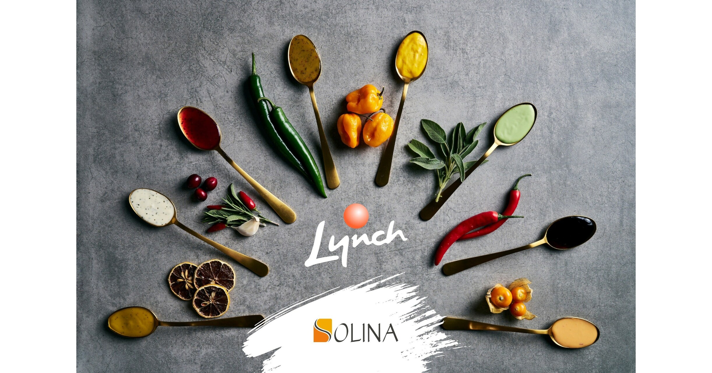 Solina acquires Canada’s Lynch Foodstuff in most current section of North American enlargement