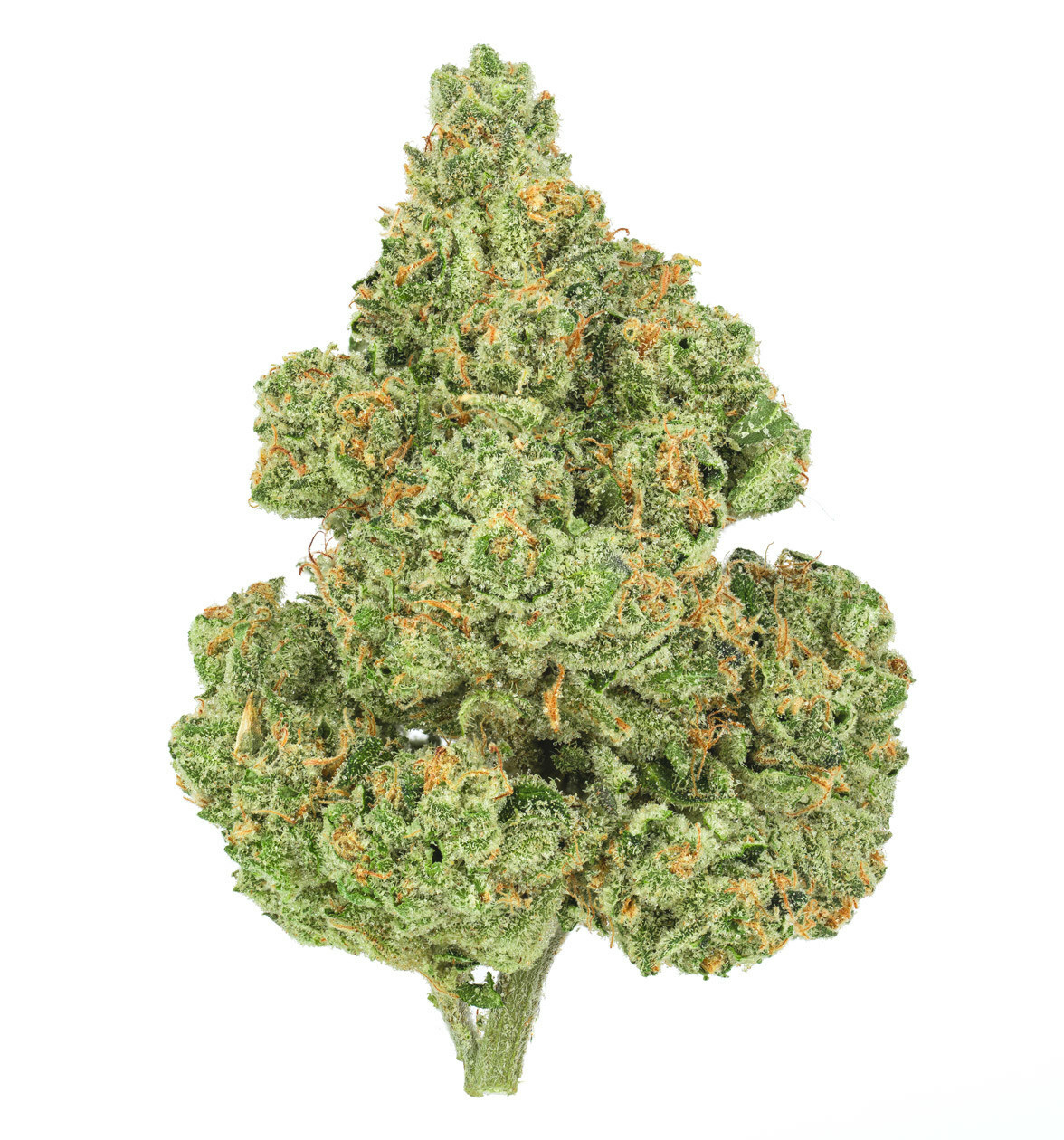 MedReleaf Valour Bud (CNW Group/Aurora Cannabis Inc.)