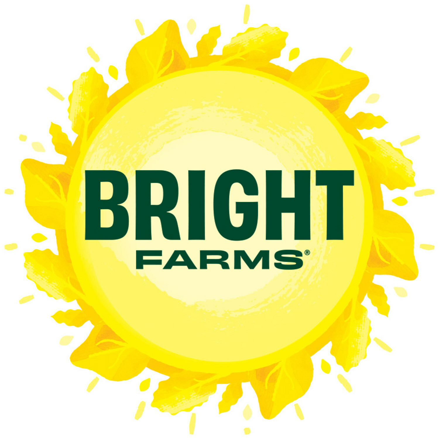 BrightFarms is a national leader in the booming indoor farming industry, transforming how produce is grown and delivered with its expanding network of high-tech, sustainable hydroponic farms. (PRNewsfoto/BrightFarms)