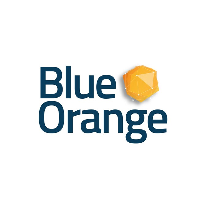 Blue Orange Digital Appoints Diana Bald as President - Vimarsana News