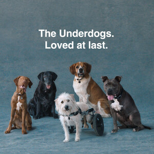 SUBARU UNITES OVER 47,000 SHELTER PETS WITH LOVING HOMES DURING 2022 SUBARU LOVES PETS® MONTH