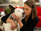 Pets in Need of Loving Homes Find Families Through PetSmart Charities of Canada™ National Adoption Week