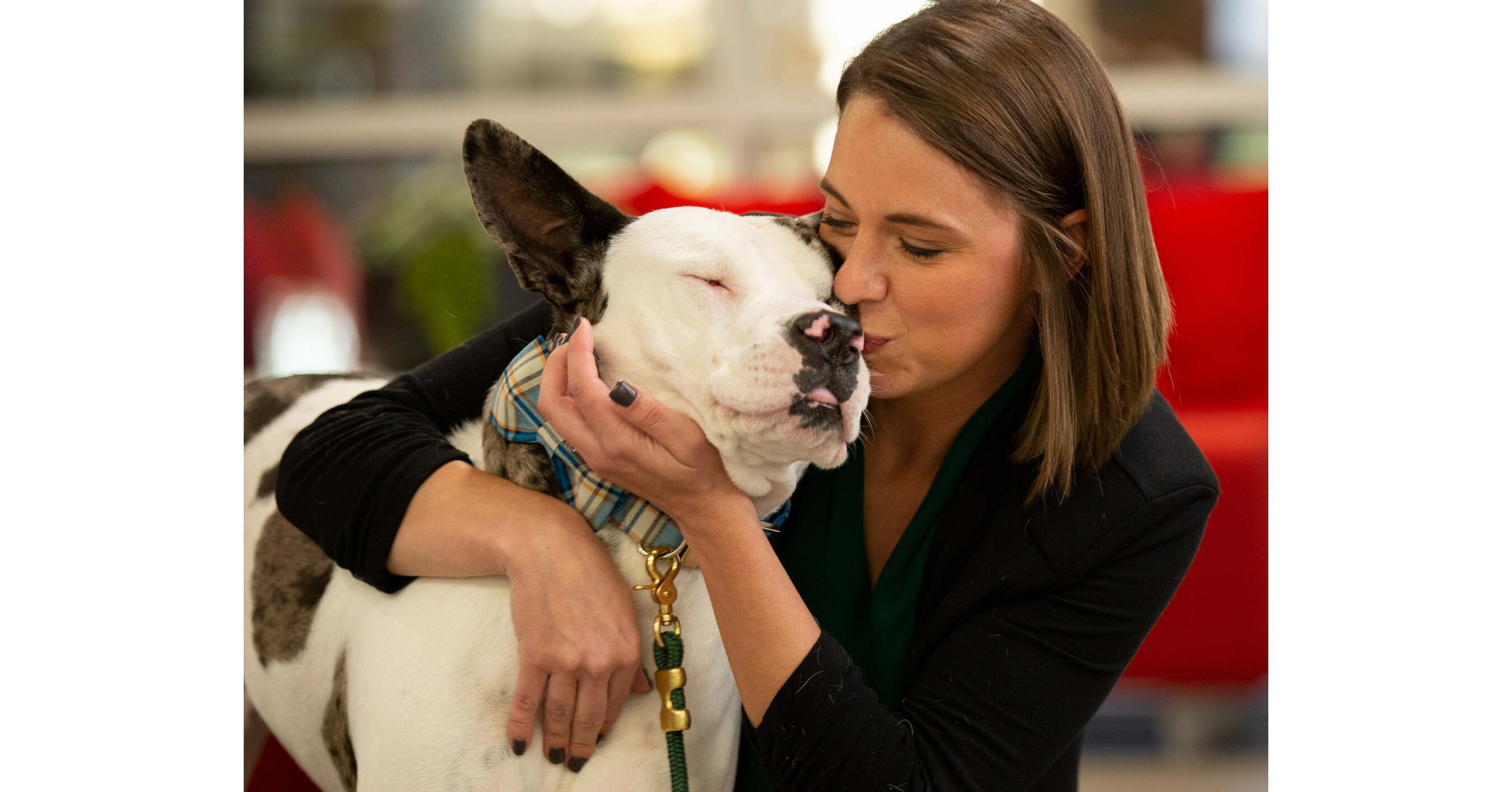 Pets in Need of Loving Homes Find Families Through PetSmart Charities  National Adoption Week