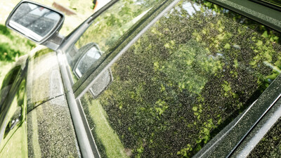 As warm weather arrives with trees and flowers blooming, so
does pollen, bringing itchy eyes, increased allergy symptoms, and cars coated in pesky yellow dust. To help customers protect their cars and health during pollen season, Autobell is offering a new Pollen Pass for purchase March 6 - April 23, 2023.