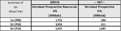 Table 2. Summary of Gross and Net (20%) Unrisked Prospective Resources for OIL (CNW Group/Africa Oil Corp.)
