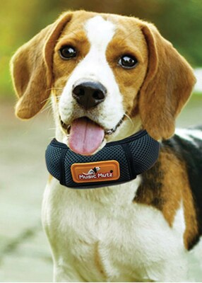 The comforting, musical Music Mutz Collar calms dogs with noise and other stress issues.
