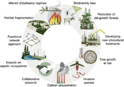 Challenges for the Sustainable Management of the Boreal Forest Under Climate Change | Miguel Montoro Girona (CNW Group/Université du Québec en Abitibi-Témiscamingue (UQAT))