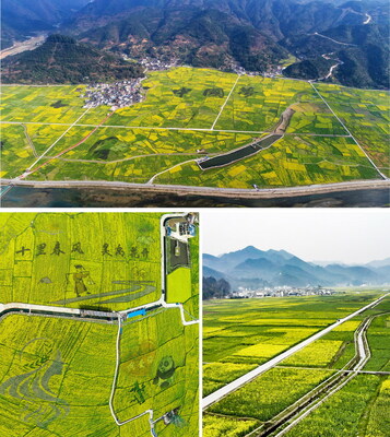 (Top) The sea of rapeseed flowers in Wawu Township, Bijiang District, Tongren City, Guizhou Province, southwest China; (L) The Sea of rapeseed flowers in Pingba District, Anshun City, Guizhou Province, southwest China; (R) The Sea of rapeseed flowers in Wawu Township, Bijiang District, Tongren City, Guizhou Province, southwest China.