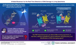 Pusan National University Develops Novel Biosensor to Detect DNA Damage in Real Time