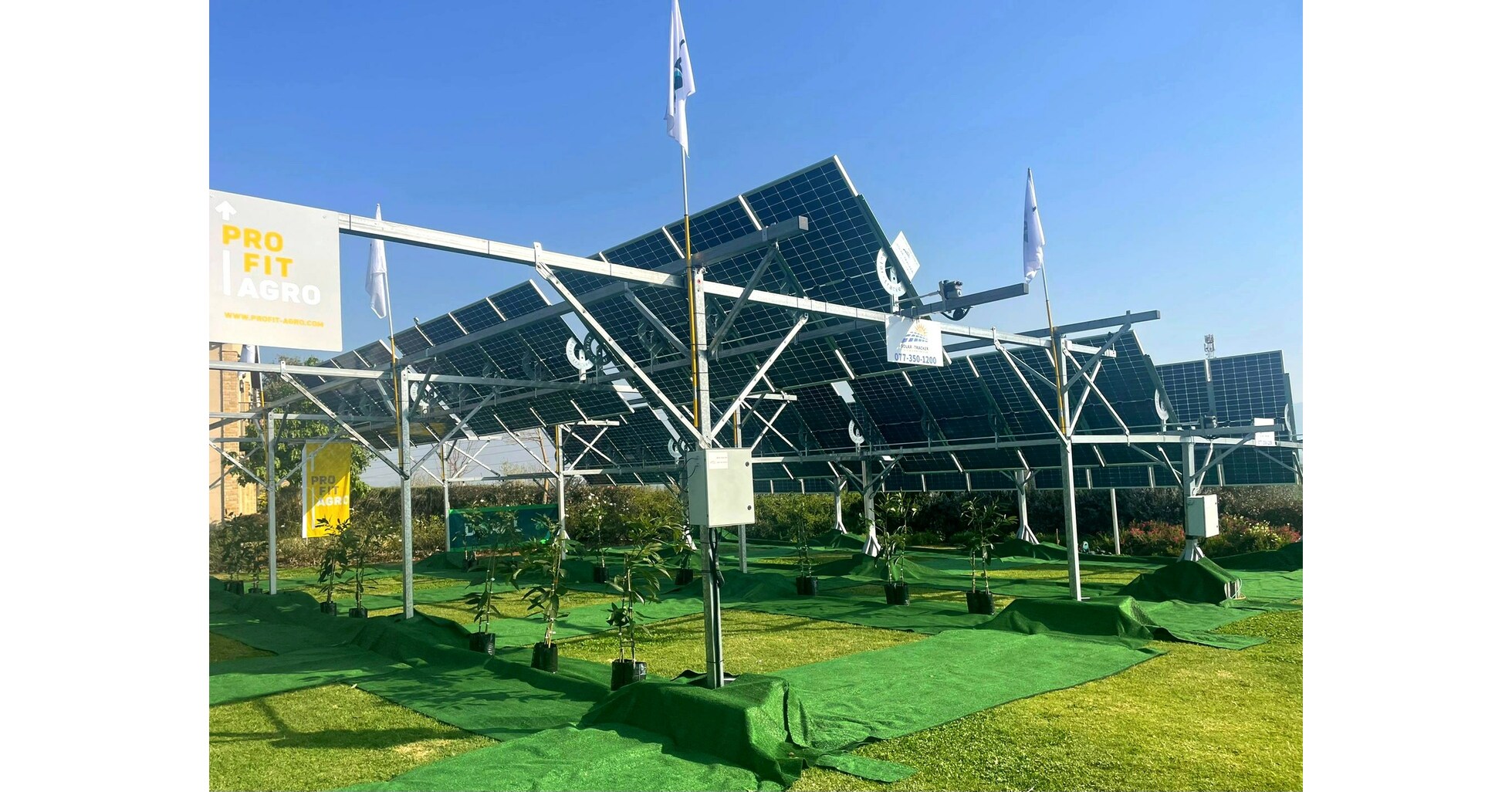MIGAL Spearheading Transition of Agri-Photovoltaics From Vision to ...