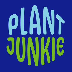 Plant Junkie: The Sustainable and Healthy Alternative to Traditional Fast Food