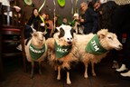 Don't Follow The Flock This St. Patrick's Day: Forsake Your Namesake And Opt For The Original, Bushmills Irish Whiskey