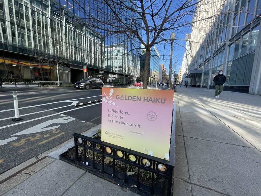 GLOBAL HAIKU CONTEST ATTRACTS POEMS FROM DC TO AUSTRALIA AND EVERYWHERE IN BETWEEN - Vimarsana News