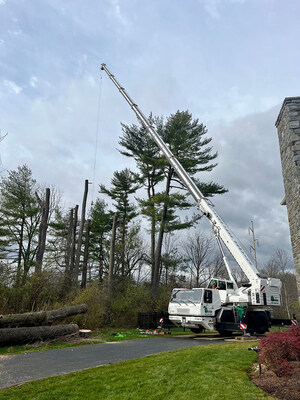 Innovative Tree Care Marketing Strategy Helps Jake's Tree Service Grow by More than 1300 Percent