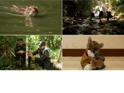 CNN’s Mission Tiger spotlights the conservation heroes reversing the threats tigers face