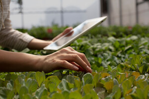 Parceria de Bayer e Microsoft desenvolve soluções em nuvem para inovação e transparência na indústria agroalimentar