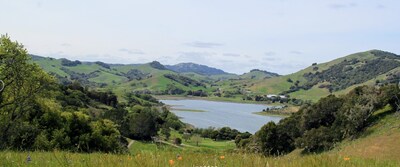 Marin Cyclists Present the 60th Diamond Jubilee Marin Century This August