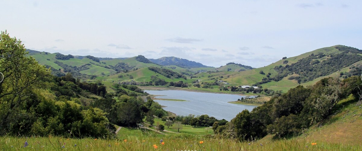 Marin Cyclists Present the 60th Diamond Jubilee Marin Century This August - Vimarsana News