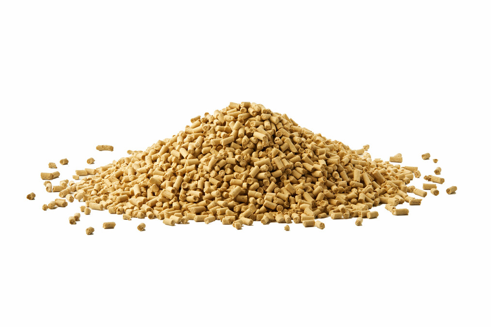 Lucent Bio, AGT Foods and Federated Co-Operatives Limited Partner to Distribute New Crop Nutrition Solution in Western Canada - Vimarsana News