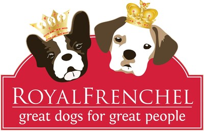 Royal best sale frenchel puppies