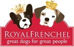 A Look Into the Royal Frenchel Dog Breed and the Creator Anahata Graceland