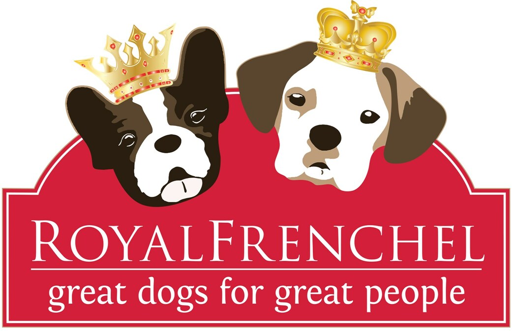 A Look Into the Royal Frenchel Dog Breed and the Creator Anahata Graceland - Vimarsana News