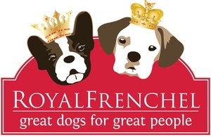 A Look Into the Royal Frenchel Dog Breed and the Creator Anahata Graceland