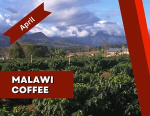 Wake Up to Malawian Coffee Beans with the First Month Free