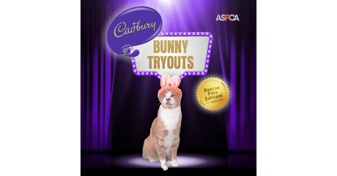 For the First Time Ever, Cadbury Spotlights a Cat as the Winner of the 5th Annual Bunny Tryouts