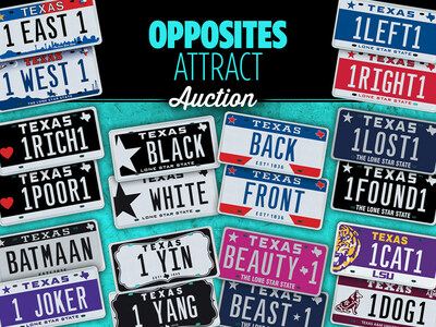 My Plates Opposites Attract Auction