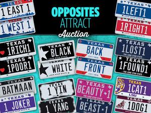 My Plates Opposites Attract License Plate Auction