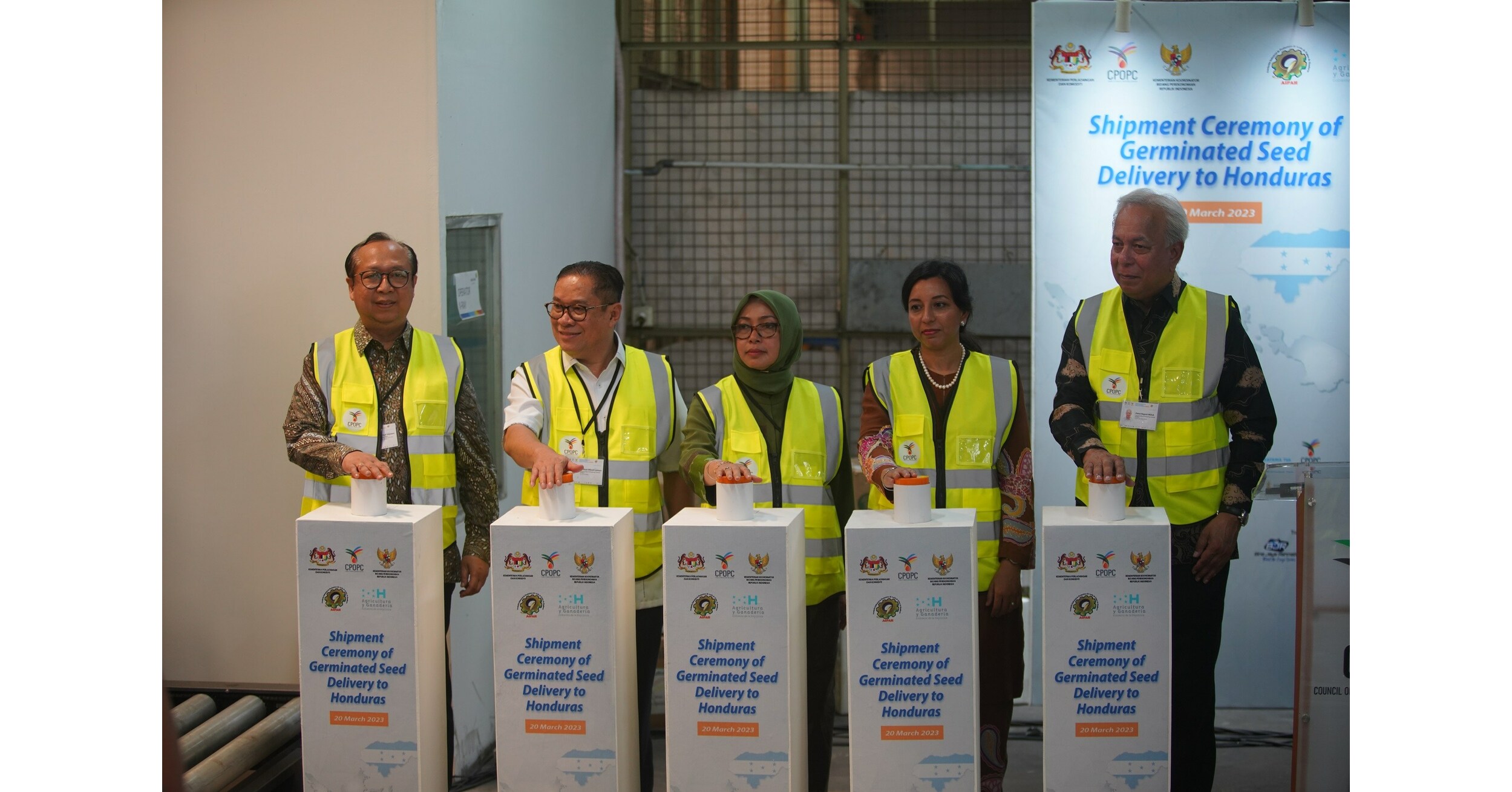 CONTRIBUI&Ccedil;&Atilde;O DE SEMENTES GERMINADAS DO CPOPC PARA OS AGRICULTORES DE &Oacute;LEO DE PALMA HONDURENHOS