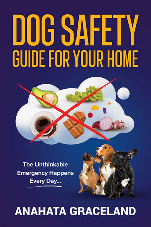 Protect Your Furry Friend: Anahata Graceland's Comprehensive Guide to Dog Safety in Every Aspect of Life