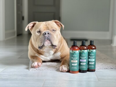 Pet Releaf's brand-new Skin & Paw Releaf shampoos & conditioners give dog owners a limited-ingredient, plant-based option for bath time.