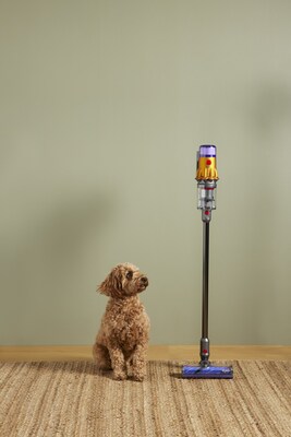 Bed Bath & Beyond has a wide assortment of vacuums that are great options for homes with or without pets.