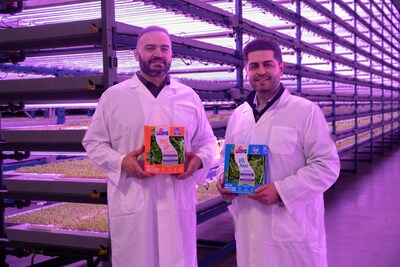 Shahram & Bahram Rashti, co-founders of UP Vertical Farmstm are pleased to unveil Canada's first hands-free vertical farm where they are producing sustainably grown, pesticide-free baby leafy greens in a variety of salad blends which will be coming to grocery stories across Western Canada this spring. (CNW Group/Oppy)