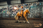Horse Expo Canada returns with all things "Horse" to Westerner Park April 28th - 30th