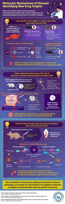 Molecular Mechanisms of Disease Pathophysiology: Journal of Pharmaceutical Analysis Articles Provide Novel Insights - Vimarsana News