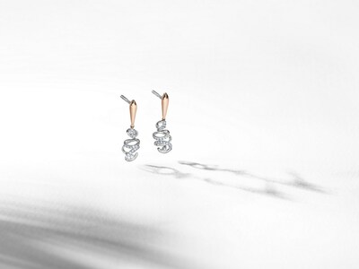 Platinum Earrings by Platinum Evara