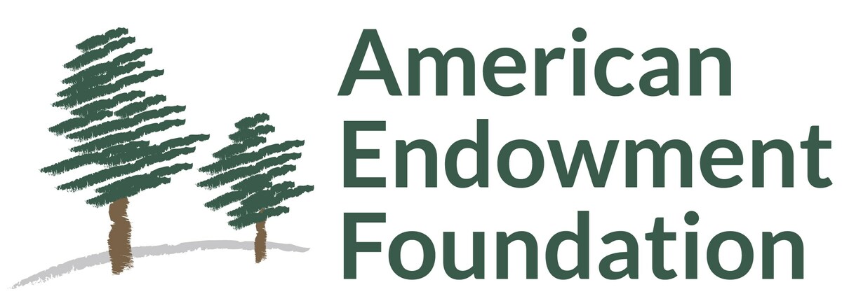 The American Endowment Foundation (AEF) Board of Directors Today Announced Mr. Ron Ransom as the Organization's New CEO - Vimarsana News