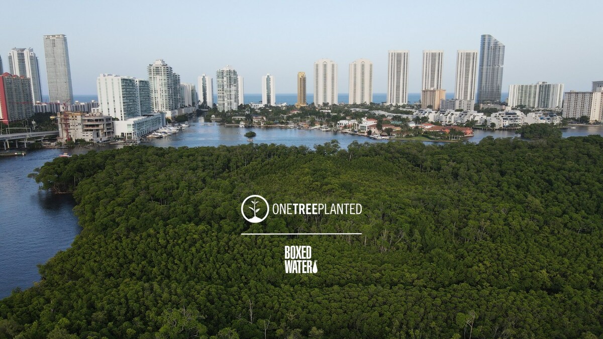 Boxed Water™ Expands Tree Planting Program With One Tree Planted and the Urban Forestry Action Fund - Vimarsana News
