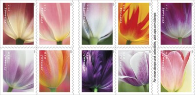 The U.S. Postal Service recognizes Americans’ love for tulips with the release of the Tulip Blossoms Forever stamps.