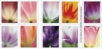 USPS Celebrates Spring with Tulip Blossoms Forever Stamps