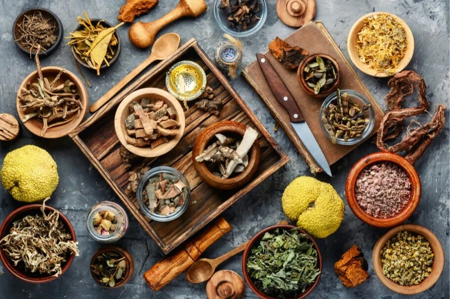 Dr. Mark "Merriwether" Vorderbruggen of Medicine Man Plant Co. Awarded the Title of Medicinal Plants Expert - Vimarsana News