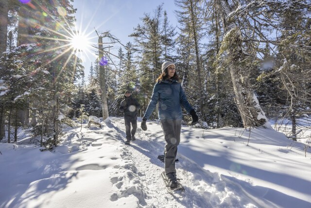 Cision MediaStudio View Media Cision MediaStudio View Media