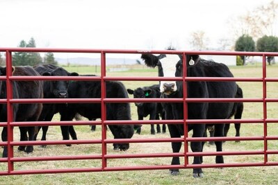 Tarter farm clearance and ranch heavy